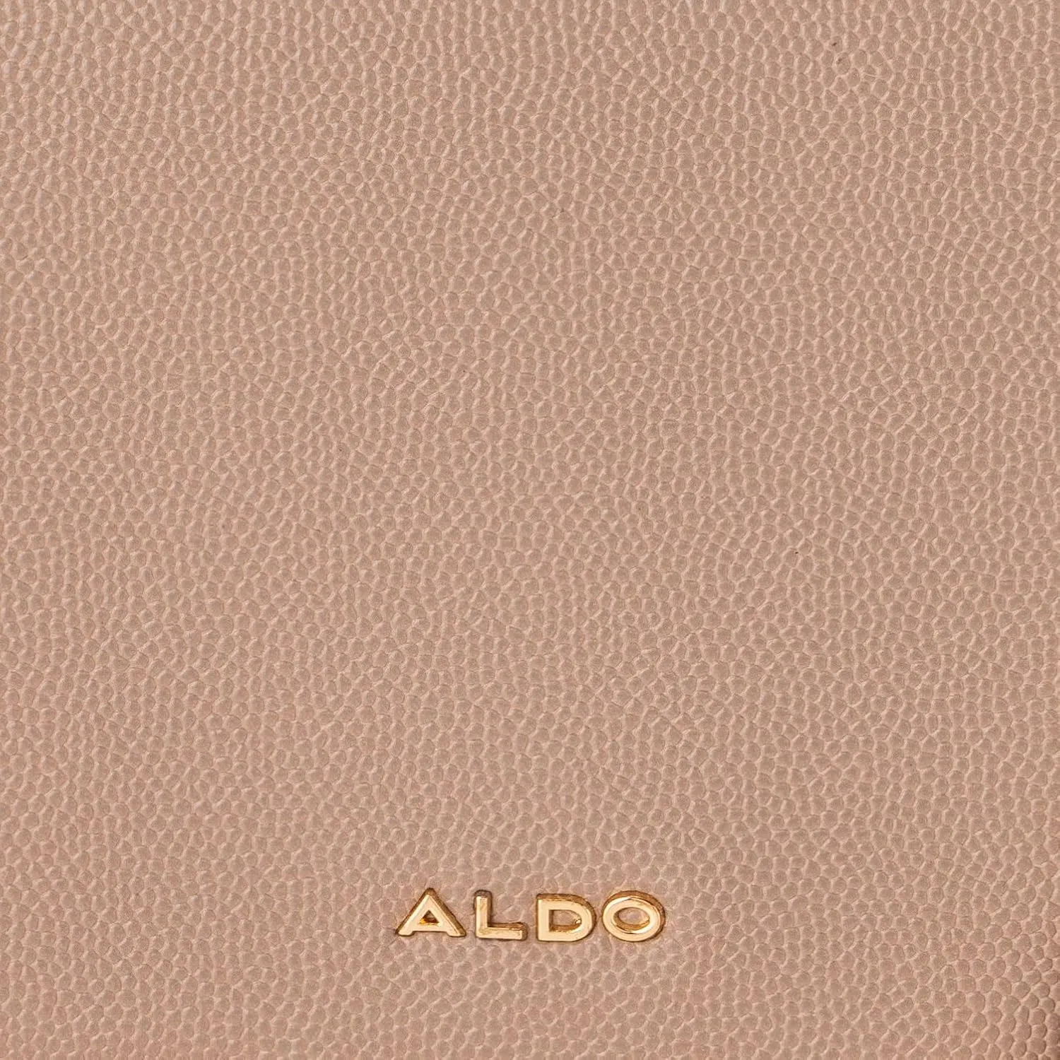 ALDO Women's Dwendassa Wallet, Dark Beige