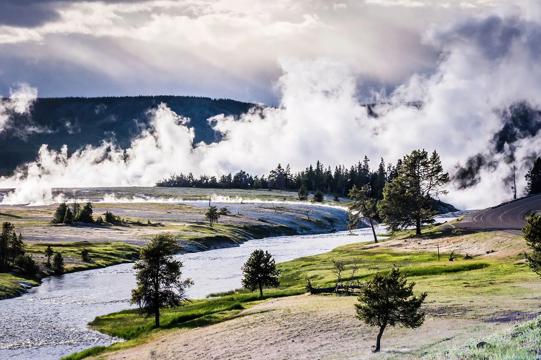 Field of Mists - Yellowstone National Park