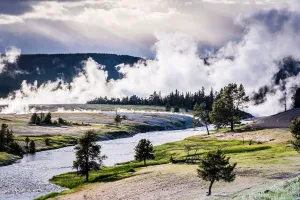 Field of Mists - Yellowstone National Park